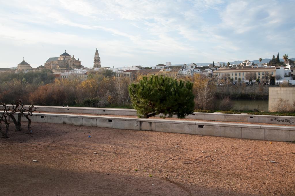 Amparo Cinco Lägenhet Córdoba Rum bild