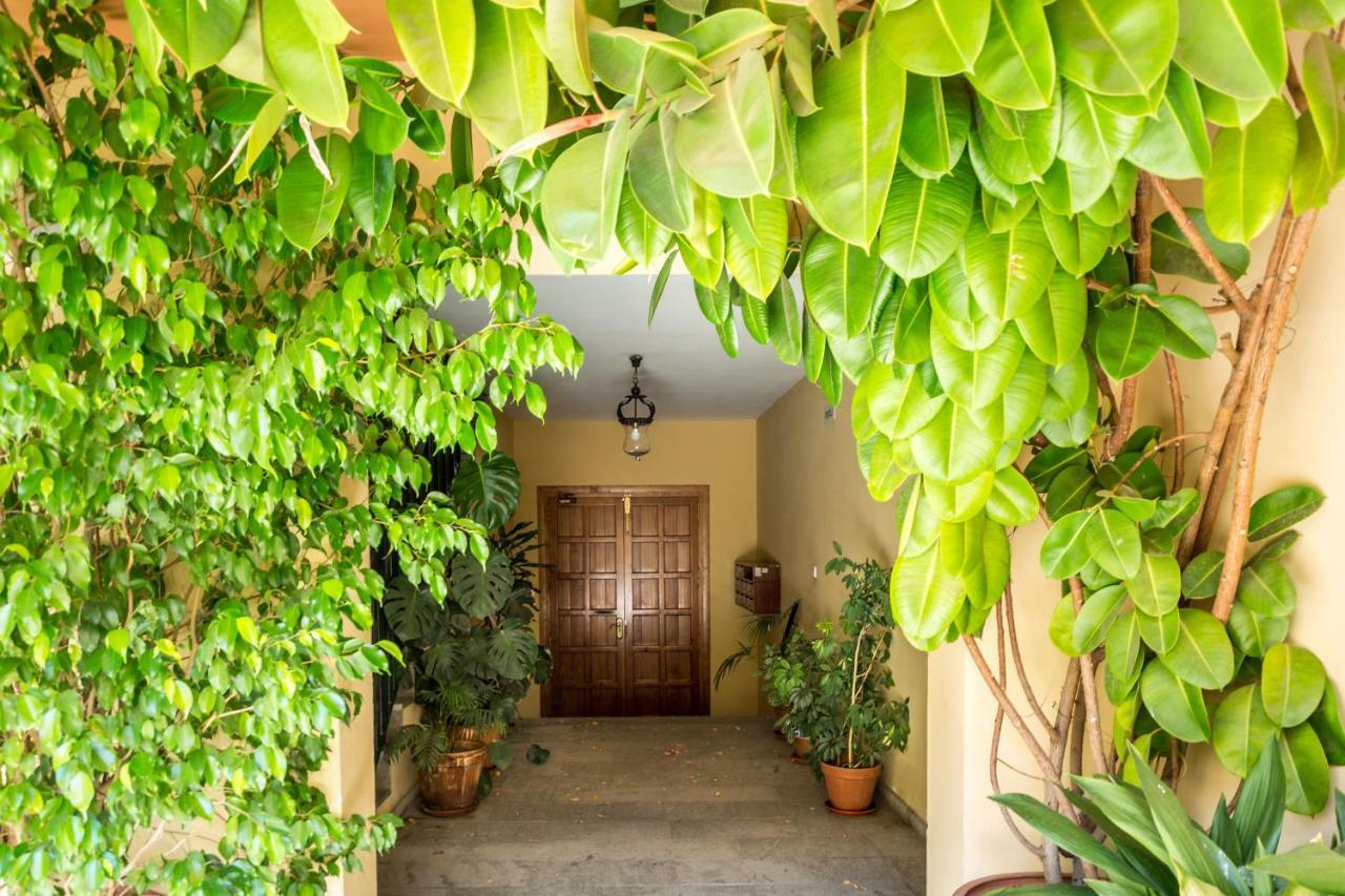 Amparo Cinco Lägenhet Córdoba Exteriör bild
